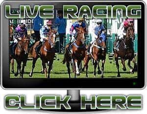 Watch Free Live Horse Racing From Singapore, Hong .